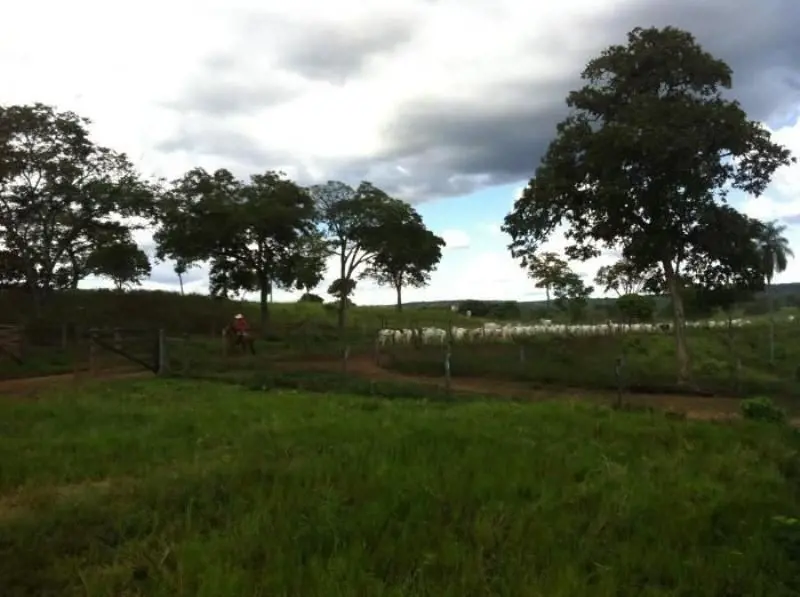 GUARANI-GOIAS ACESSO FÁCIL PELA GO-108 EXCELENTE FAZENDA COM 230 alqueires em Gu...