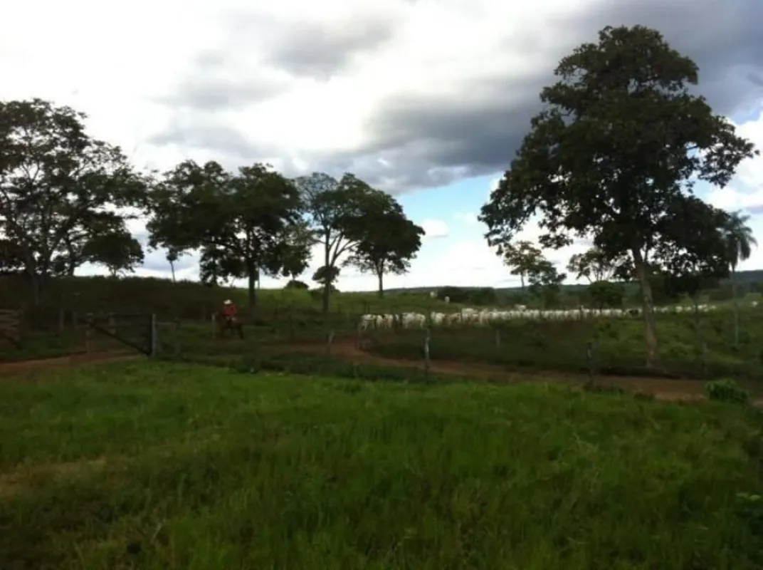 GUARANI-GOIAS ACESSO FÁCIL PELA GO-108 EXCELENTE FAZENDA COM 230 alqueires em Gu...