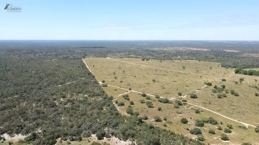 INFORMAÇÕES FAZENDA VEREDAS •Localizada no município de Arinos- MG (noroeste de ...