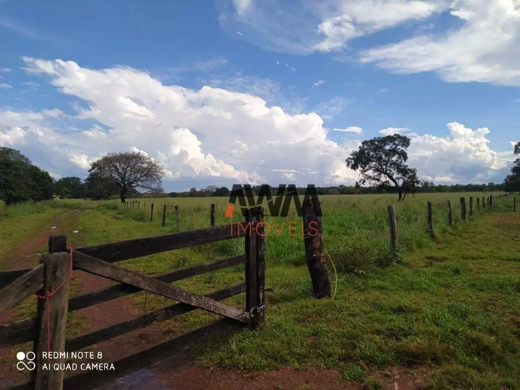 Código FA0222Captador RogérioFazenda no Auto Araguaia de 803 hectares toda em pa...