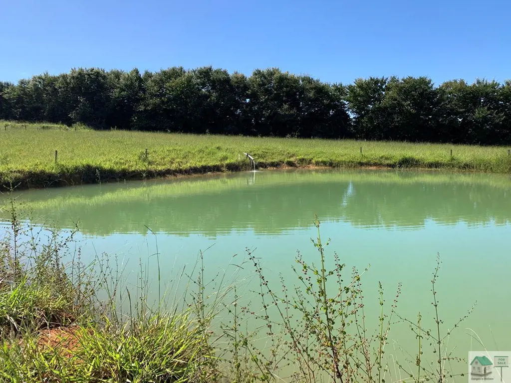 Muita água, estruturado para criação de Gado com uma boa área útil… represa, cór...