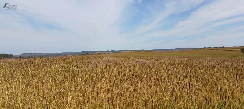 Fazenda Espetacular, a 70Km da Rodoviária do Plano Piloto de BrasíliaDupla Aptid...