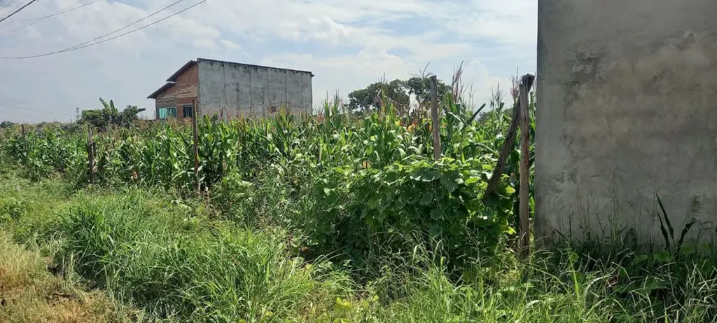Ótimo lote 360m, asfalto,plano, bairro Ibirapuera- Aparecida de goiania . Vip Im...