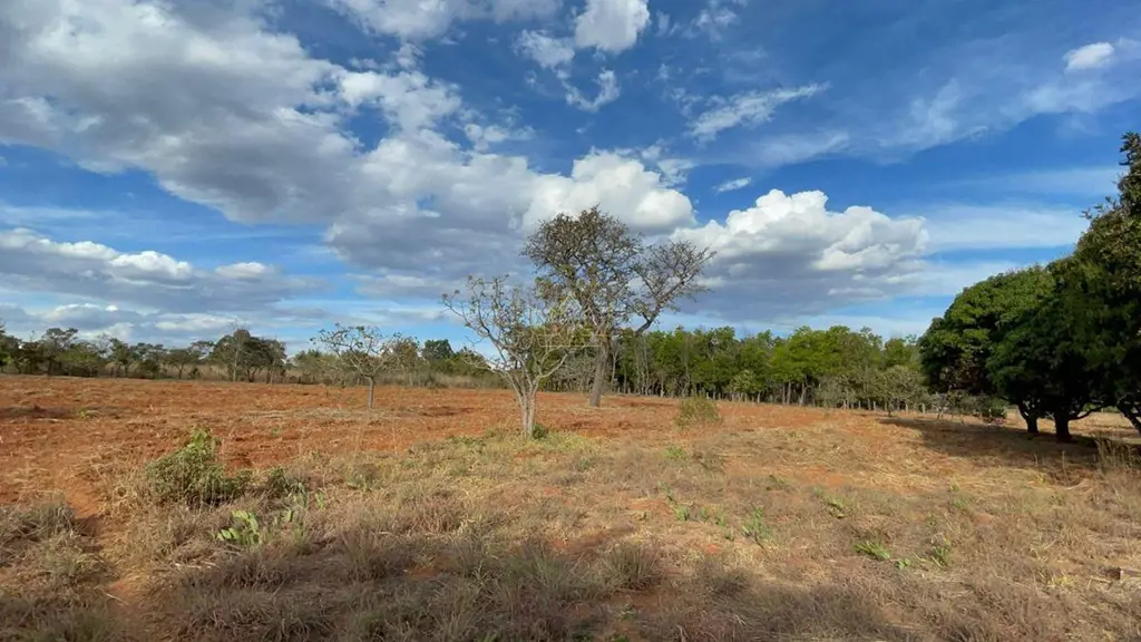 JCMAX VENDE - LOTE - LAGO OESTE Não perca esta chance: excelente área à venda no...