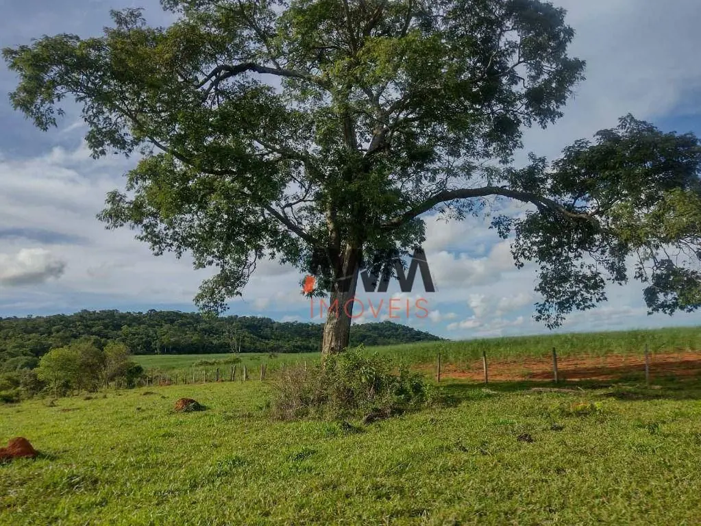 Código FA0252Captador RogérioFazenda a Venda em Anicuns -GOTerra de 18 alqueires...