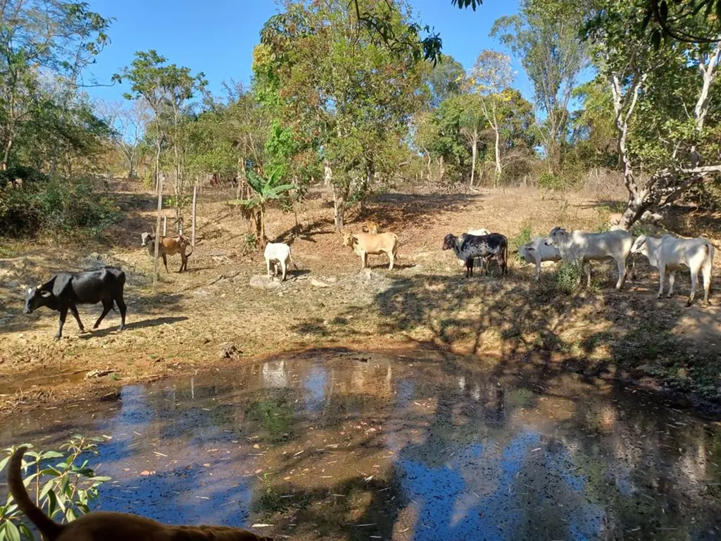 Vende ou troca!!!Vende 50% da propriedades!!!Aceita imoveis de menor valor!!!A p...