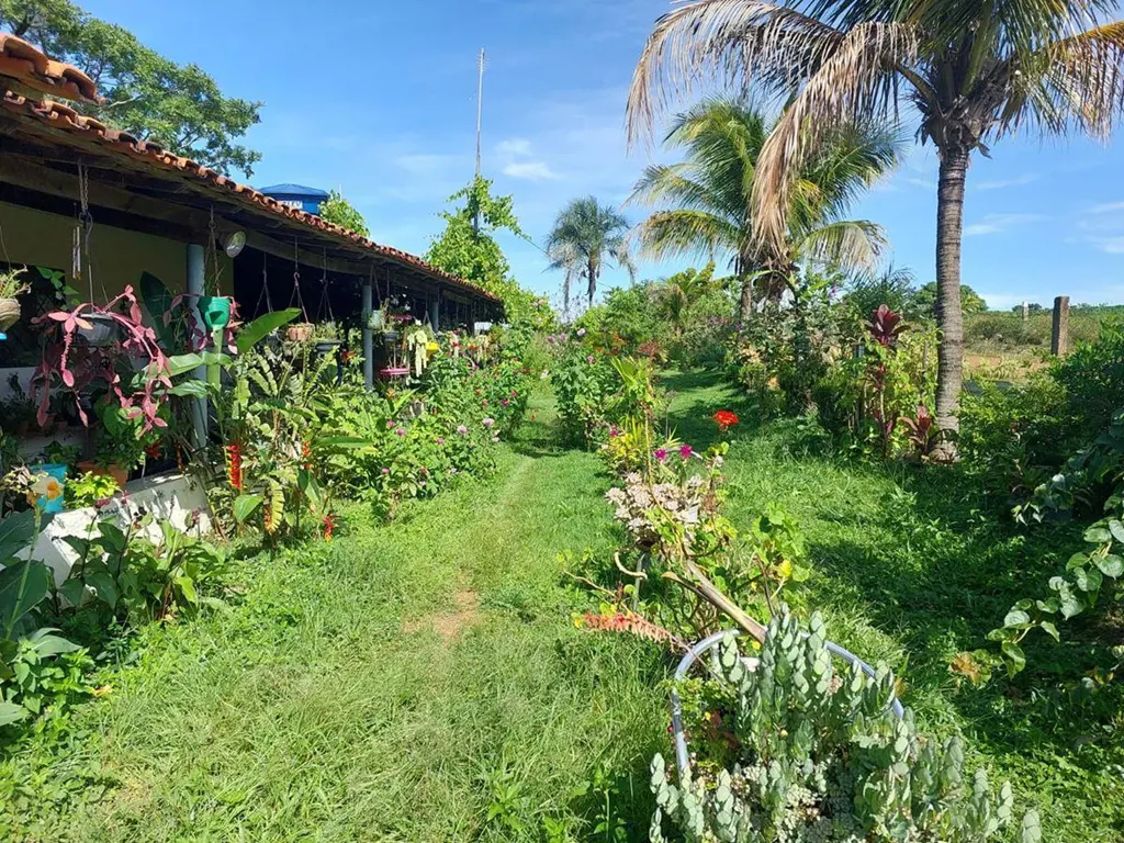Vendo Chácara DF-260, 5 Quartos sendo 1 Suíte, Banheiro Social, VarandaPomar, Ga...