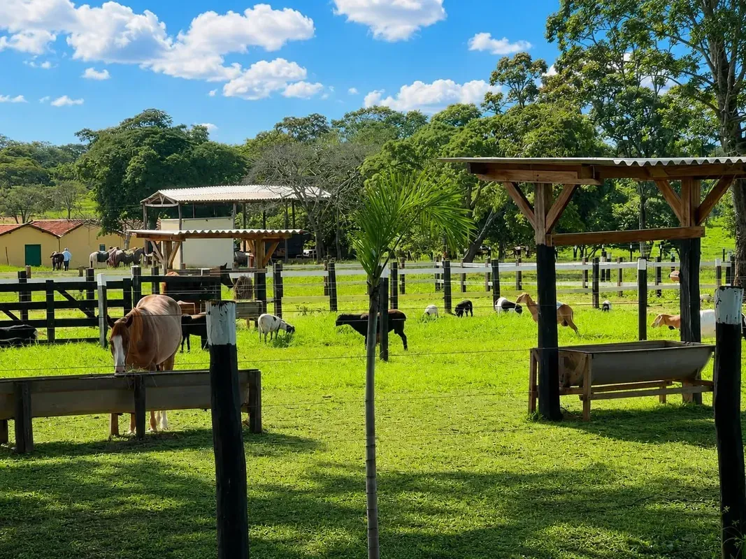 Fazenda completa de 75 alqueires por R$ 16 milhões: oportunidade rara em Goiás.F...