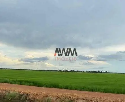 Codugo:FA0103Fazenda Rio FormosoCaptador: Gildo1.500 Alqueirões ou 7.260 Hectare...