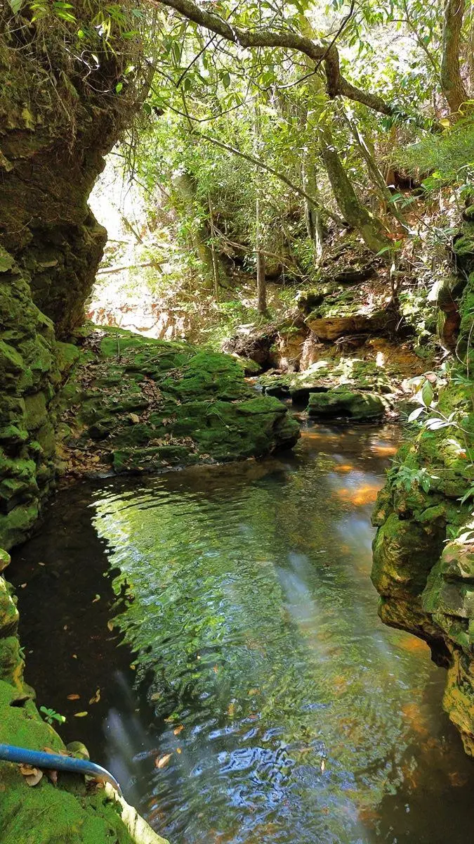 Linda Chácara Escriturada e Registrada de 2,5 hectaresNo Mansões Fazendárias;A 2...