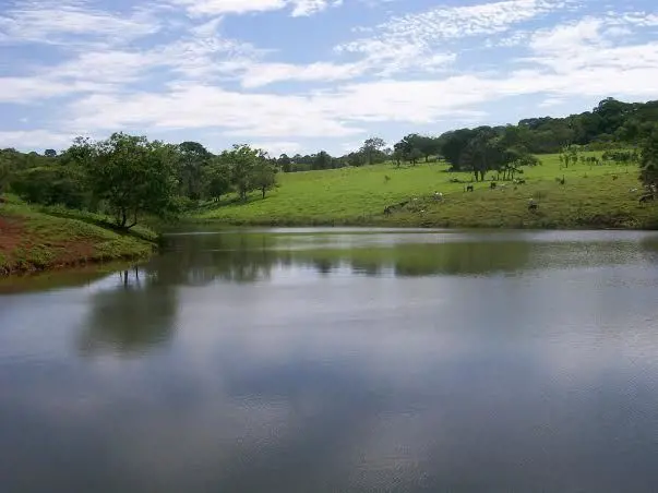 Sítio 9,5 alqueires, 2km da Rod Goiânia/Anápolis, município de Goiânia atrás do ...
