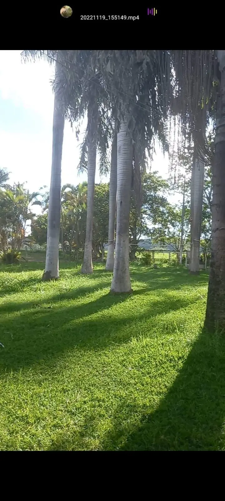 Não perca a oportunidade de adquirir esta deslumbrante fazenda localizada no mun...