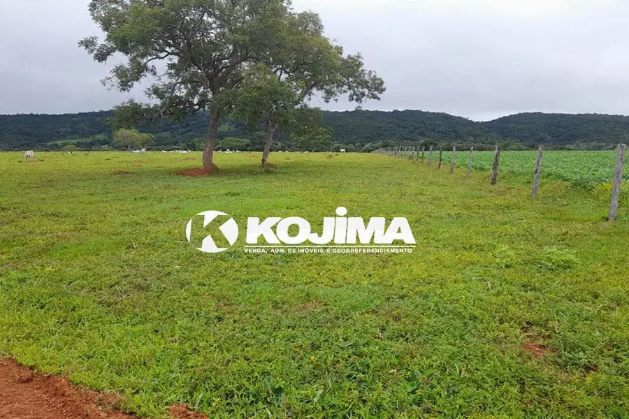 VILLA148366 - Última atualização: 12/04/26 23:31Oportunidade Única! Fazenda de 2...