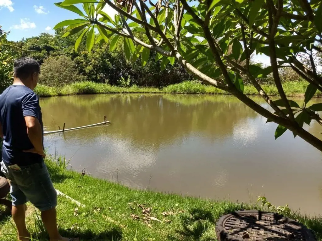 Chácara com 6,5 (ha), dois tanques com criação de peixes, com atividade de produ...