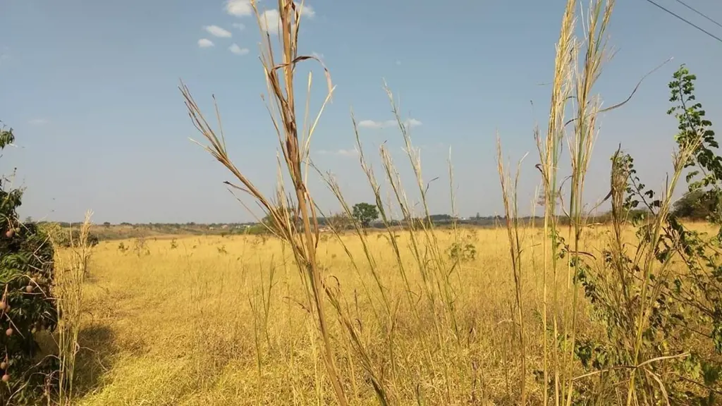 Chácara com 12 hectares Transplantas Imóveis (061)98173-7567 13/01/24