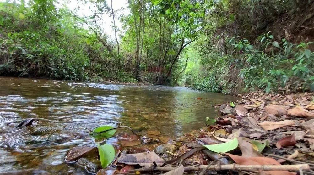 CHÁCARA DF-140 ESCRITURADA I EXCELENTE LOCALIZAÇÃO 1) Área Total: 2,04 ha;2) Exc...