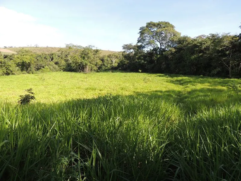 - CHÁCARA COM 2 HECTARES , - CERCADA - 9 KM DE SÃO SEBASTIÃO - 1K DE ESTRADA DE ...