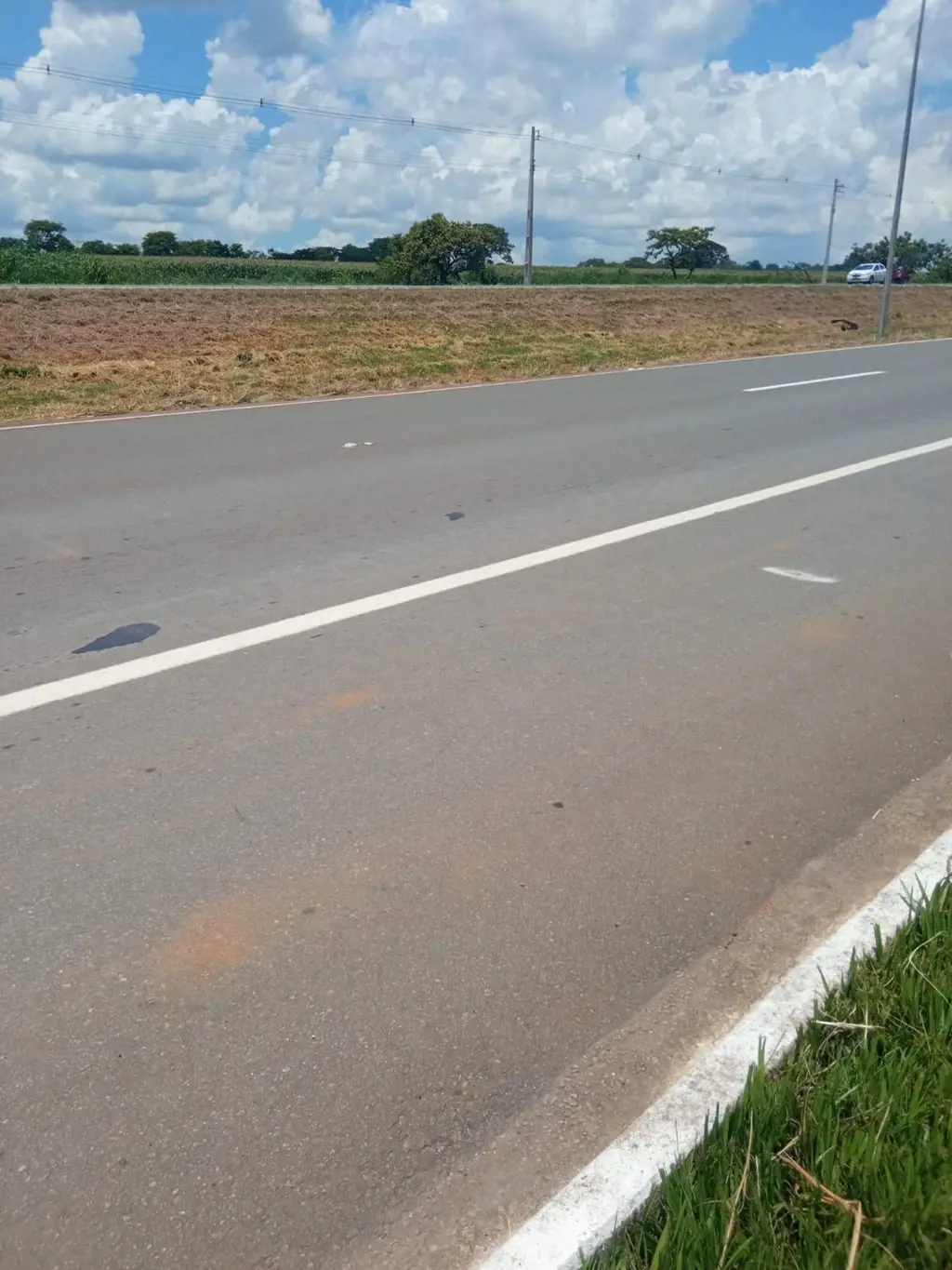 ÁREA GABARITADA PARA CONDOMÍNIOÁrea com 1. 100m de frente para GO-02048 Alqueire...