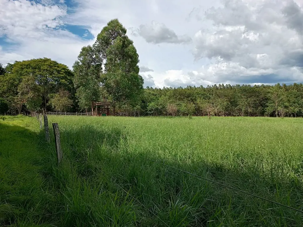 VENHA REALIZAR SEU SONHO DE TER UMA FAZENDA NO CORAÇÃO DA CAPITAL FEDERAL.São 18...
