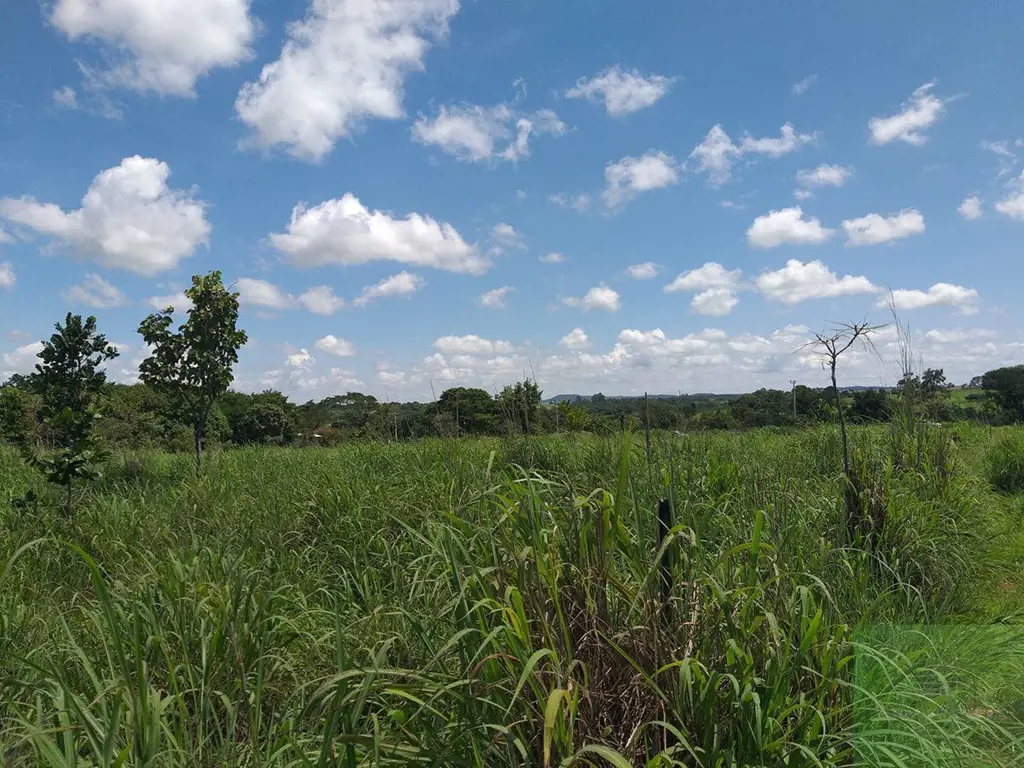 Para Venda ou Aluguel, excelente área comercial, na Go 020, com 89 mts de frente...