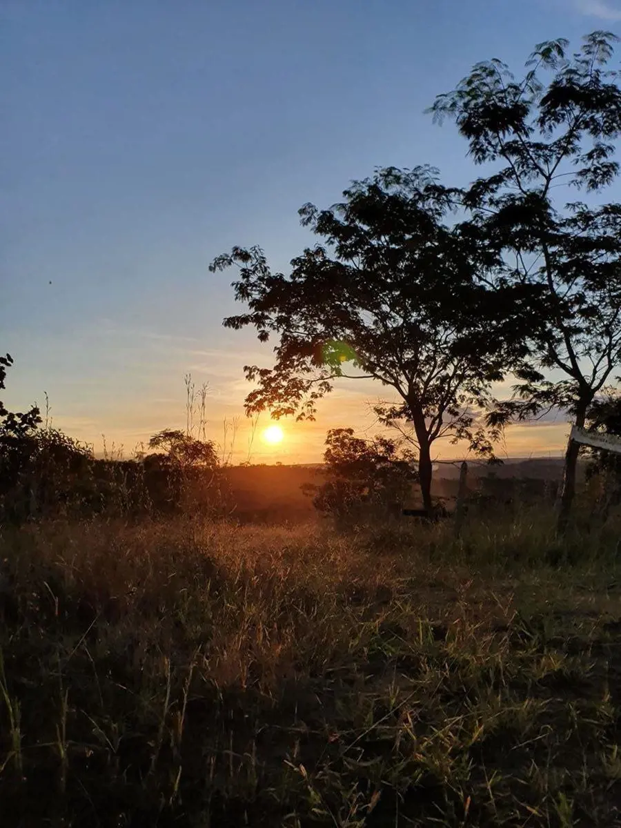 MENDONÇA VENDE COM EXCLUSIVIDADE UM CORAÇÃO, NO CORAÇÃO DO ALTIPLANOA MAIOR ÁREA...