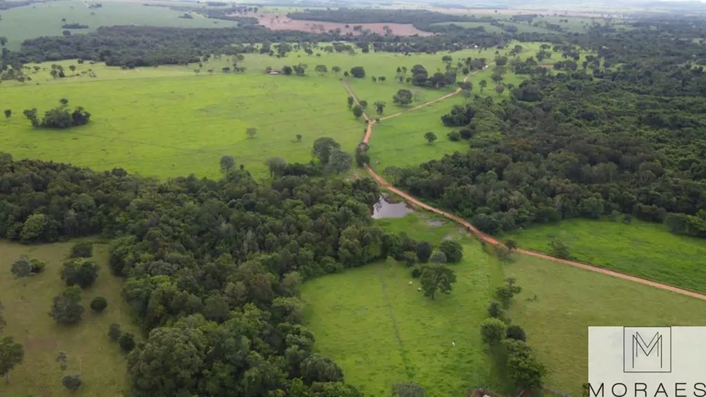 Fazenda 75 alqueires em Pirenópolis-GOTripla aptidão: Pecuária, agricultura (piv...