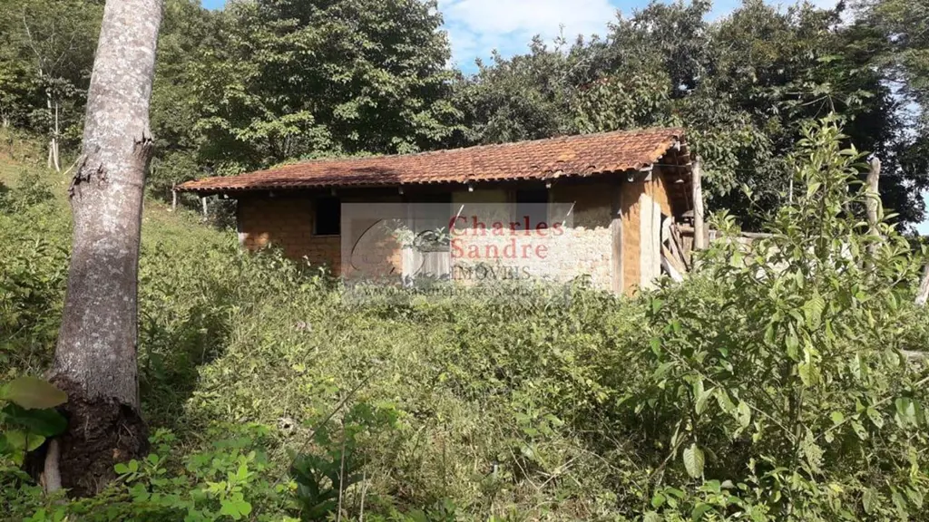 Fazenda de 50 alqueires (Nova Iguaçu de Goiás) Oportunidade de negócio, aceita p...