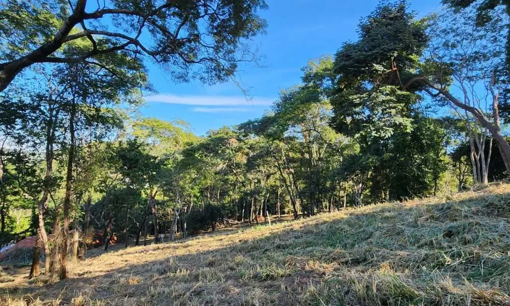 Belo terreno fundo de vale integrado à mata de preservação ecom belíssima vista ...
