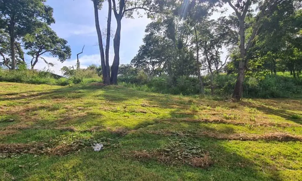 Terreno maravilhoso em aclive elevado do nível da rua com umplateau que proporci...