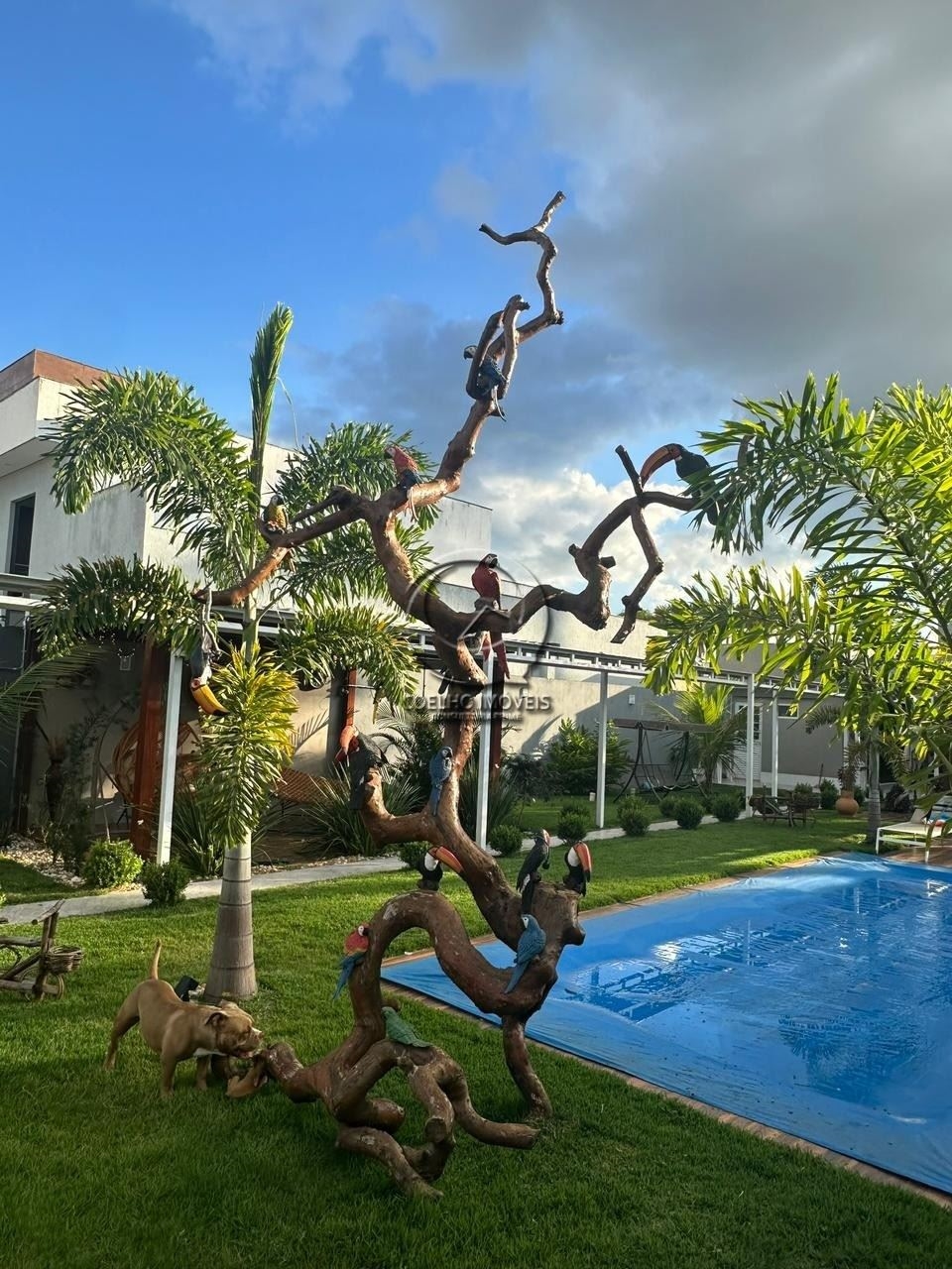 Foto do Imóvel