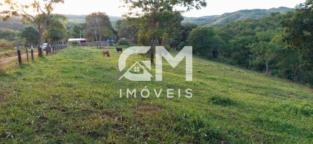 GM Imóveis vende fazenda com 614,2 hectares. Em Padre Bernardo - GO. A MENOS DE ...