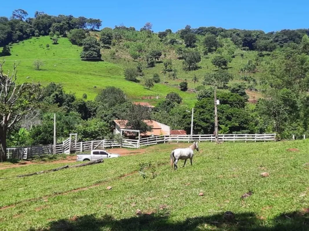 Oportunidade única pra você adquirir uma terra de cultura a 12 km de Itaguari - ...