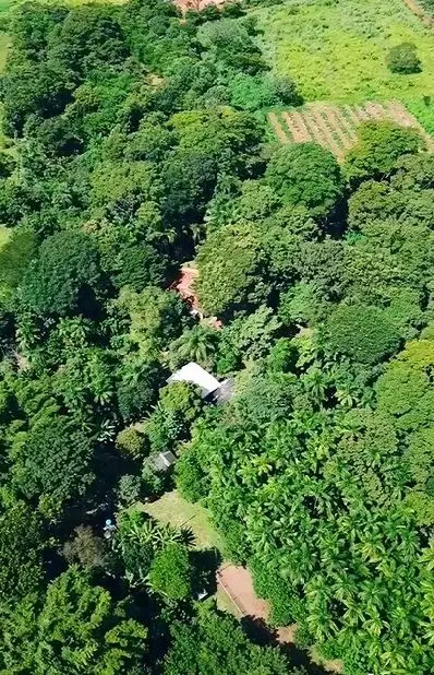 Oásis Rural em Núcleo Rural Ponte Alta - Gama, DFDestaque: Propriedade Escritura...