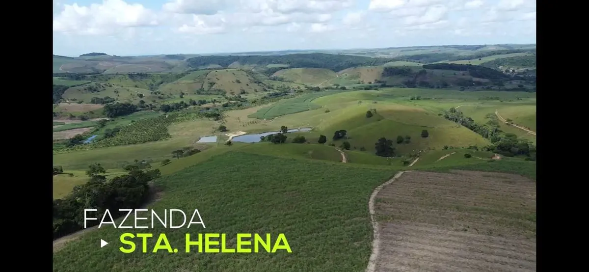 Excelente Fazenda! com 600ha, 3 (três) casas grandes na sede, mais 16 (dezesseis...