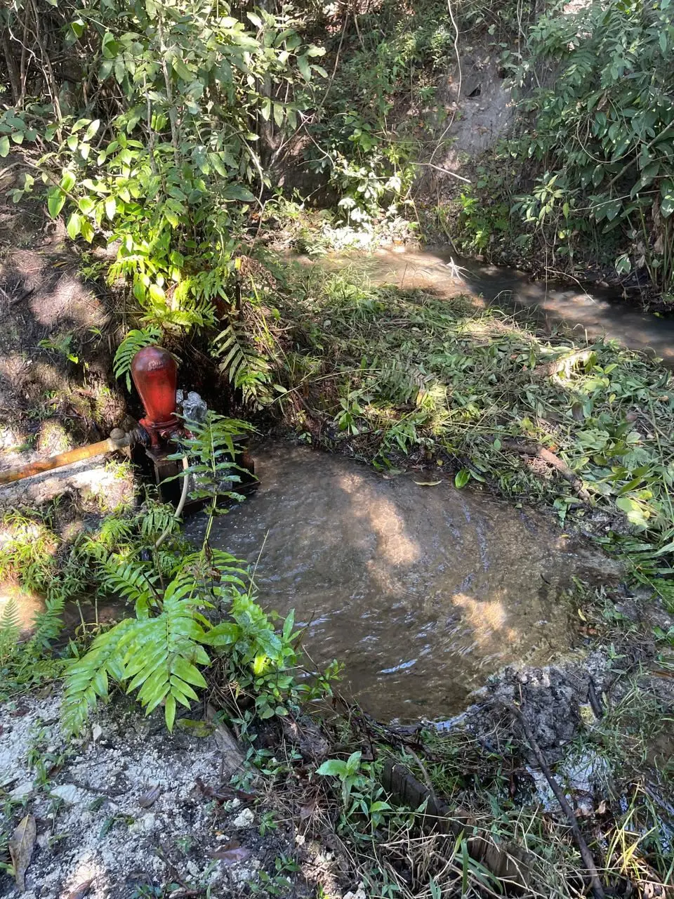 AZEMP VENDE CHÁCARA COM 10.000 M2 NO MORRO DA CRUZ - SÃO SEBASTIÃO.O imóvel poss...