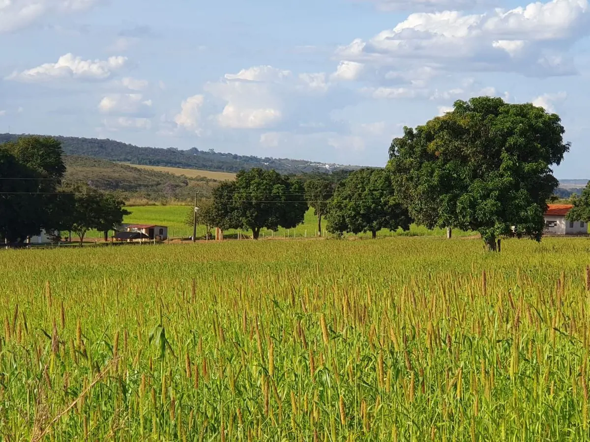VendoExcelente oportunidade de investimento.Fazenda com 68 Alqueires ou 165 Hect...