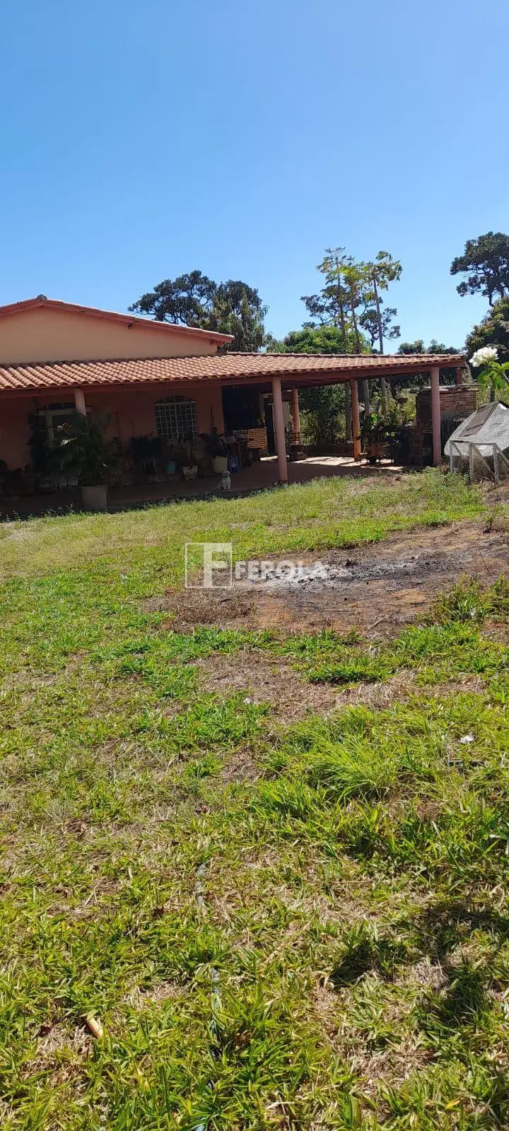 FEROLA A MAIS ACESSADA DE BRASÍLIA OFERECE :Vencedora por 12 Anos , do Prémio Co...