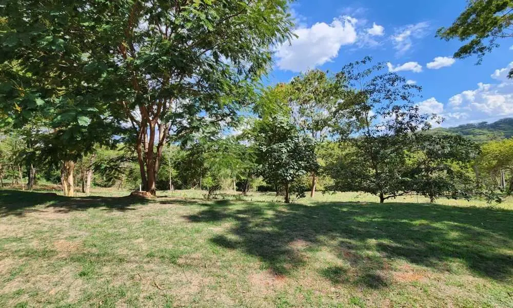 Terreno com localização maravilhosa e leve declive no lado alto, fundo de vale e...