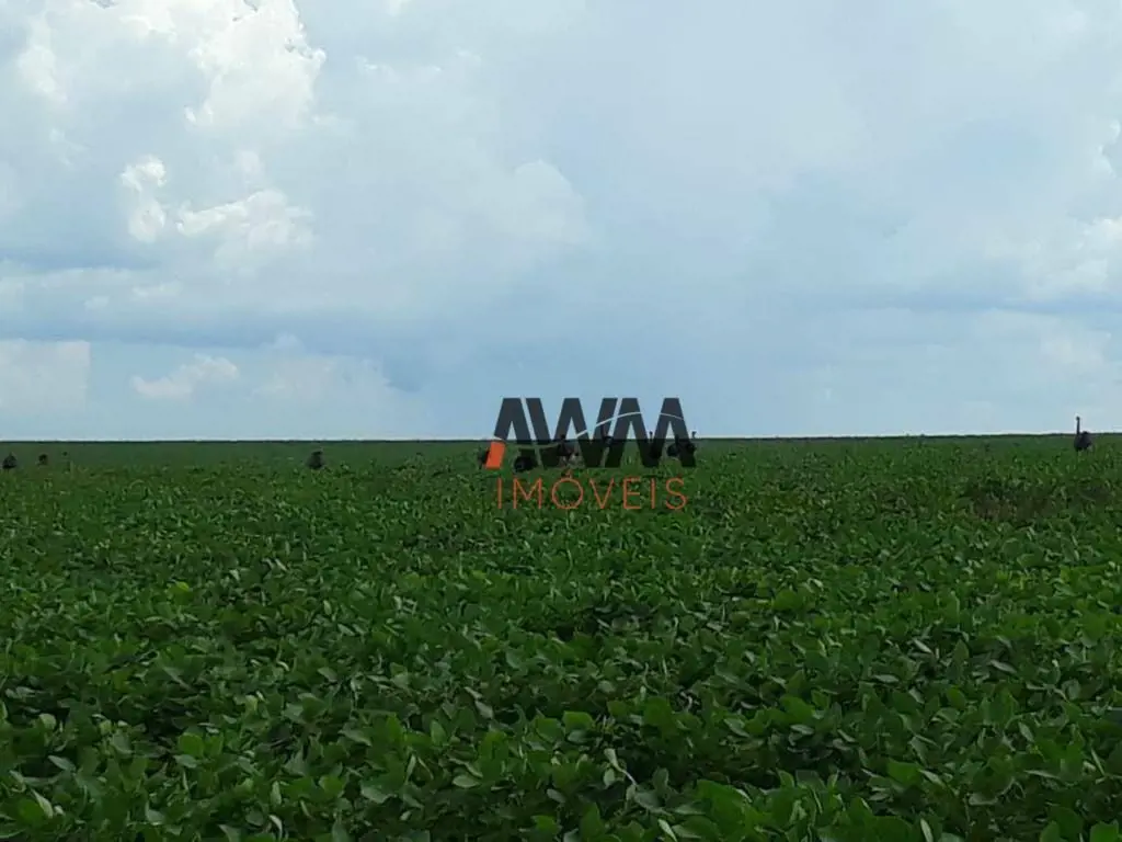 Código FA0302Captador RogérioFAZENDA A VENDA EM CANARANA - MTÁrea total 1.152 he...