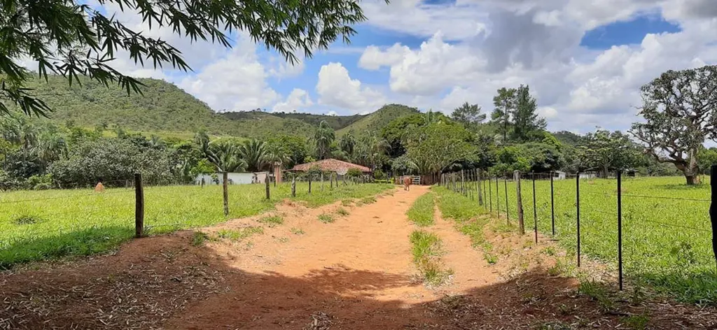 Planaltina, OPORTUNIDADE !!! 1.700.00 Á VISTA !!!Vendo Fazenda próxima ao Colégi...