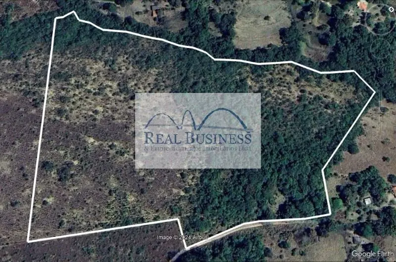 OPORTUNIDADE ÚNICA !!!! Excelente fazenda com medida de 13 hectares, localizadas...