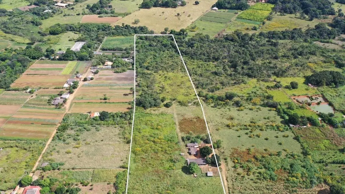 Chácara à Venda no INCRA 09Casa ReformadaCasa para CaseiroGalpãoPomar60.490 m²10...