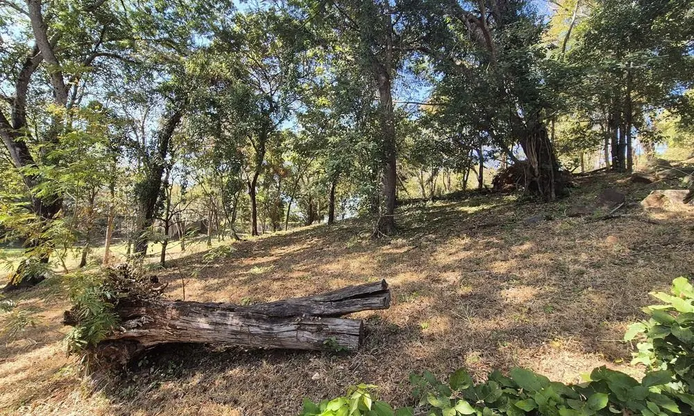 Terreno próximo à área de lazer 2 com plateau elevado donível da rua e vista par...
