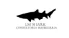 LM Shark Consultoria Imobiliária 